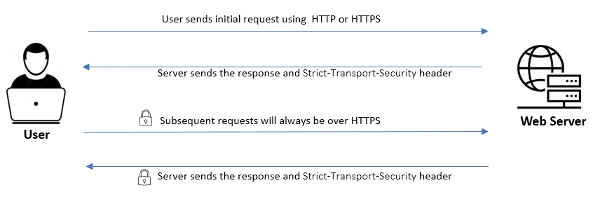hsts working